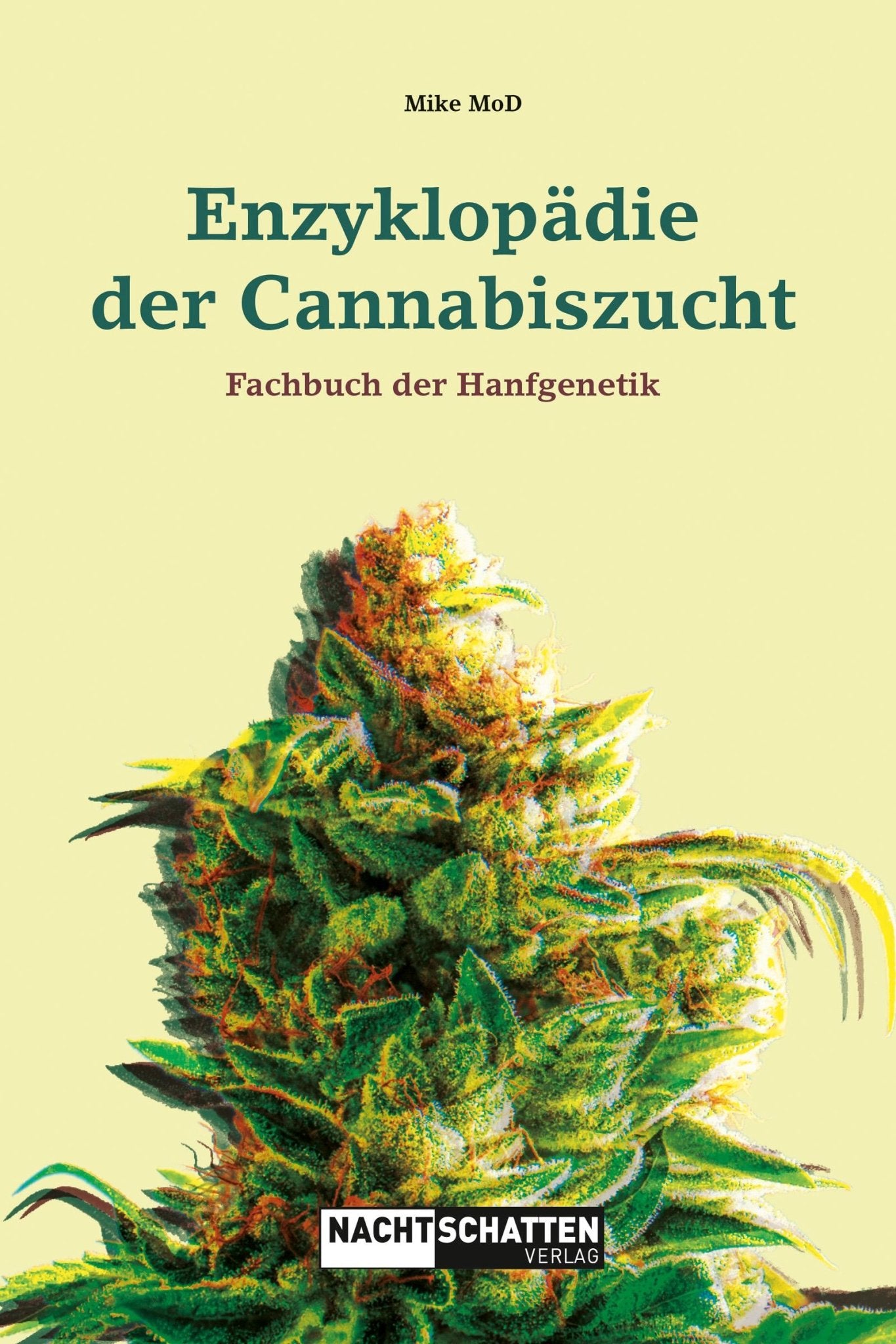 Cannabis Bud in voller Blüte